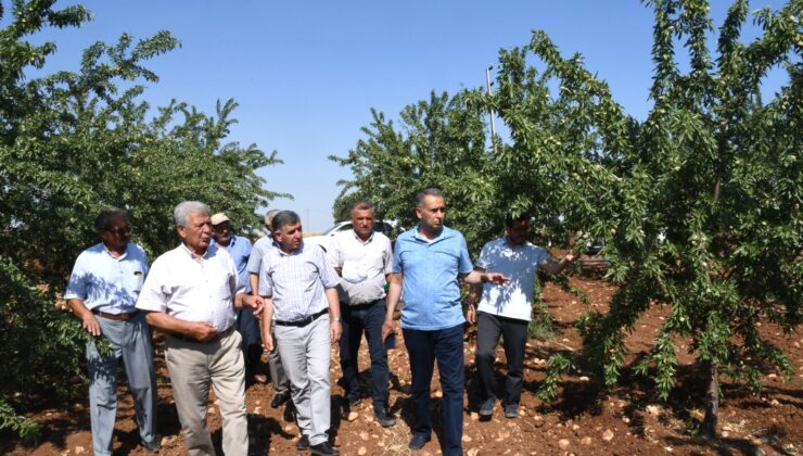 VALİ MAHMUT ÇUHADAR, ADIYAMAN’IN MEYVE FİDANI ÜRETİM MERKEZİ BOZHÜYÜK KÖYÜ’NDE