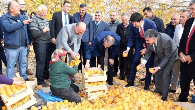 Adıyaman’da ‘Cennet Hurması’ hasadı başladı