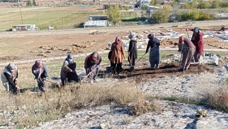 Perre Antik Kent’teki kazılara kadın eli değdi