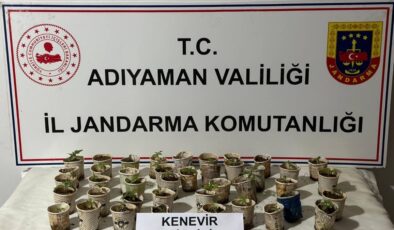 Bardakta kenevir yetiştiren şahıs yakalandı