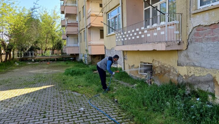 Larva İlaçlama Çalışmaları Hız Kesmeden Devam Ediyor