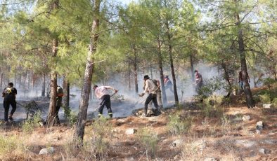 Besni ve Tut’ta geniş çaplı yangın