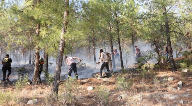 Besni ve Tut’ta geniş çaplı yangın