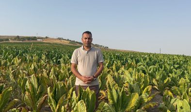 DEM Parti’li Coşkun’dan Adıyamanlı tütün üreticilerine destek çağrısı