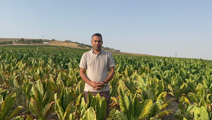 DEM Parti’li Coşkun’dan Adıyamanlı tütün üreticilerine destek çağrısı