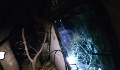 Besni’de sürücünün aracı şarampole uçtu: 2 yaralı