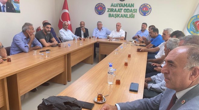 Sözleşmeli tütün üretimi Ziraat Odası’nda masaya yatırıldı