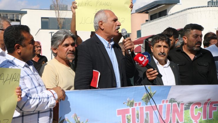 Adıyaman’da tütün üreticileri ‘sahipsiziz’ diyerek meydana indi