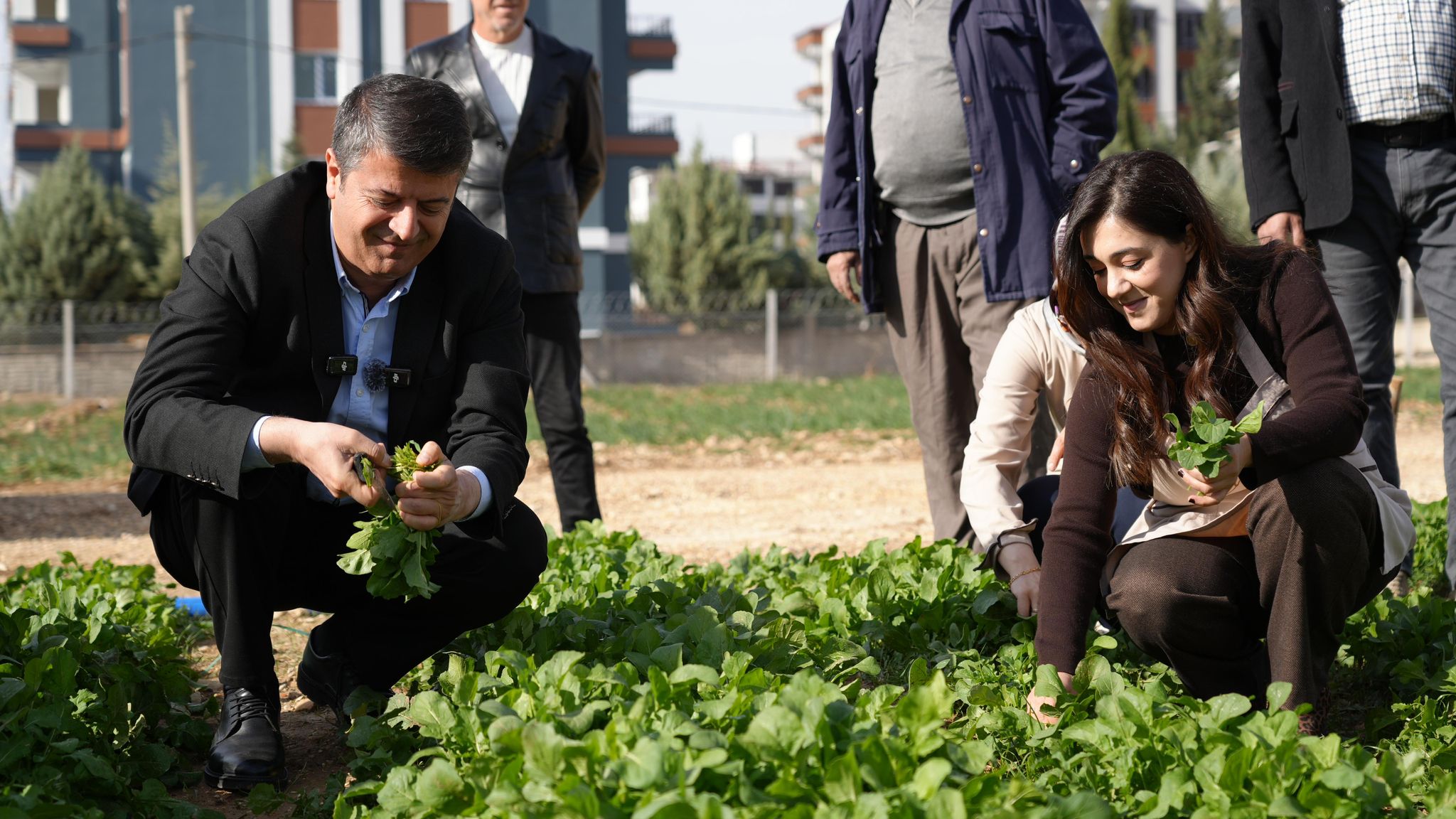 adiyaman-belediyesinde-hasat-senligi-kadin-emegiyle-uretilen-sebzeler-tezgaha-cikti