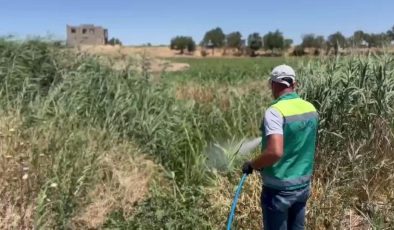 Adıyaman Belediyesi’nden larva mücadelesinde yoğun mesai