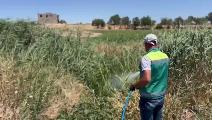 Adıyaman Belediyesi’nden larva mücadelesinde yoğun mesai