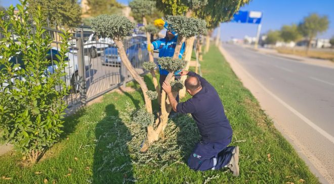 Adıyaman Belediyesi’nden yeşil alanlarda bakım ve düzenleme çalışması