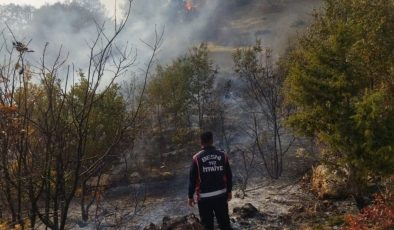 Besni Akpınar Köyü’nde çıkan orman yangını kontrol altına alındı