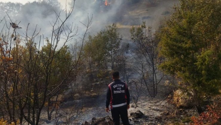 Besni Akpınar Köyü’nde çıkan orman yangını kontrol altına alındı