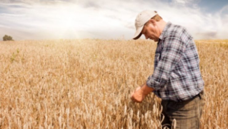 31 Aralık’ta sona eriyor