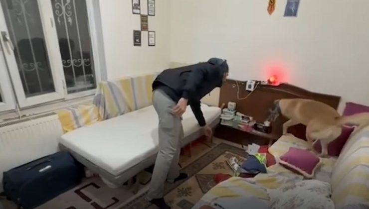 Adıyaman’da güvenlik operasyonları: 76 aranan şahıs yakalandı