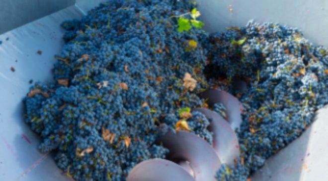 Adıyaman’da üzüm sıkma makinesi dağıtımı için başvurular başladı