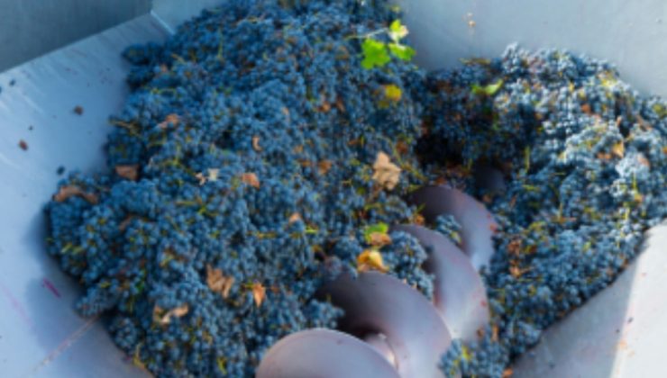 Adıyaman’da üzüm sıkma makinesi dağıtımı için başvurular başladı