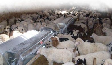 Adıyaman’da Hayvancılığa Destek