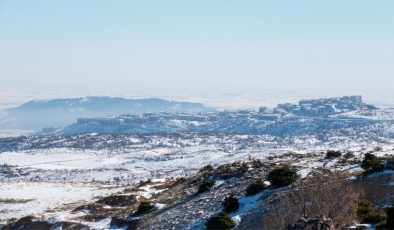 Adıyaman’da karda aç kalan yaban domuzları İndere bölgesine indi