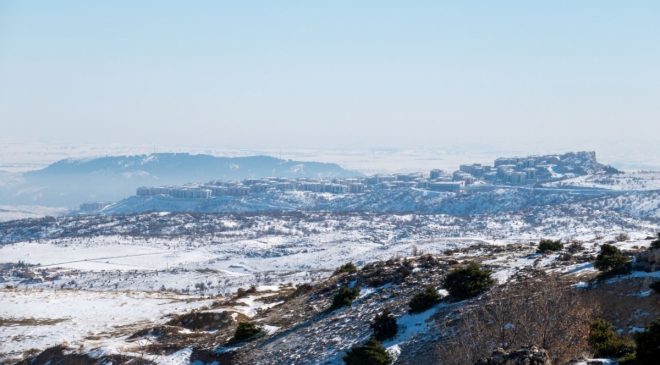 Adıyaman’da karda aç kalan yaban domuzları İndere bölgesine indi