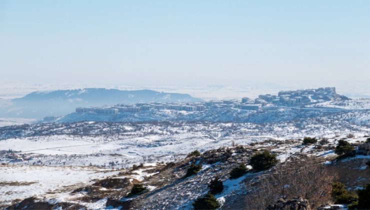 Adıyaman’da karda aç kalan yaban domuzları İndere bölgesine indi