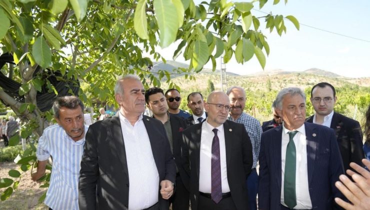 ‘Adıyaman’da zirai don zararına 6 milyon TL’lik destek verilecek’