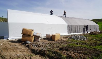 Adıyaman’da belediye eliyle yumurta üretimi başlıyor