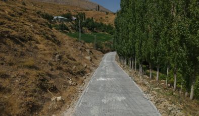 Adıyaman İl Özel İdaresinden Yeşiltepe Köyüne Kilitli Parke Taşı Dokunuşu