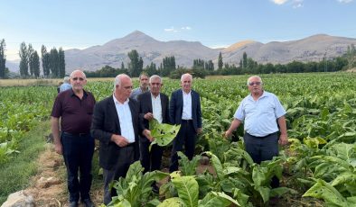 ÇELİKHAN’DA DOLU YAĞIŞI TÜTÜN ÜRETİCİLERİNİ VURDU