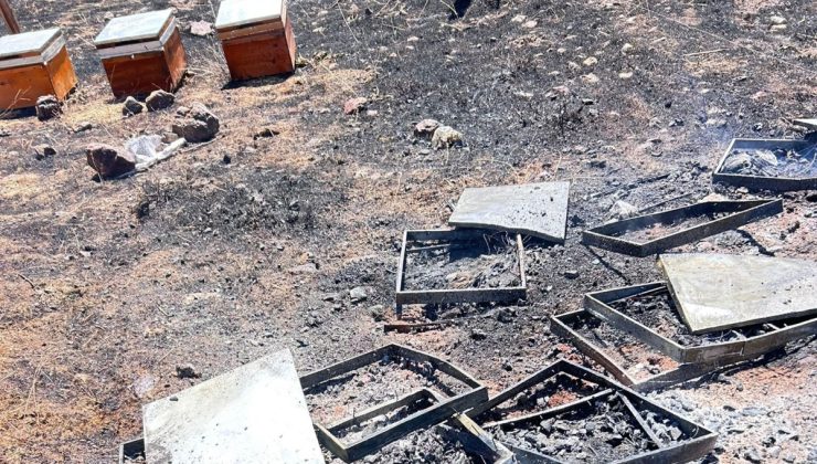Yangında 150 arı kovanı küle döndü