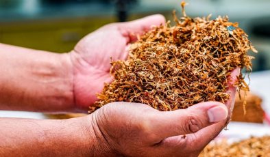 ‘Adıyaman Tütünü’nde kritik hafta: Fiyat, prim ve 2040 tartışması aynı anda gündemde