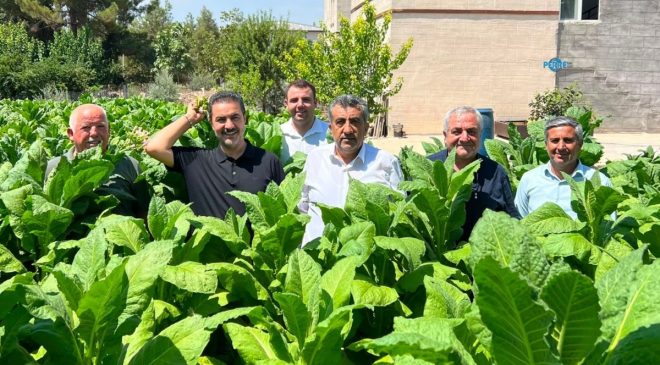 İsmail Demir: ‘Adıyamanlı tütün üreticisinin sesini duyun’