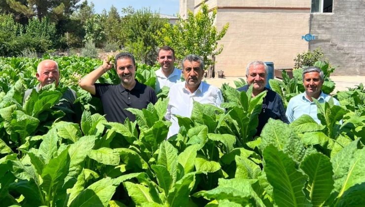 İsmail Demir: ‘Adıyamanlı tütün üreticisinin sesini duyun’