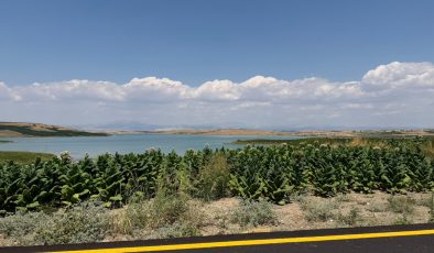 Samsat Göltarla Köyü Yol Standartlarına Kavuştu