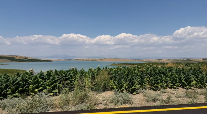 Samsat Göltarla Köyü Yol Standartlarına Kavuştu